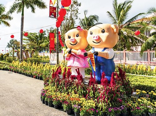 Con Dao district opened spring flower area, spring playing area for Tet of Ky Hoi 2019