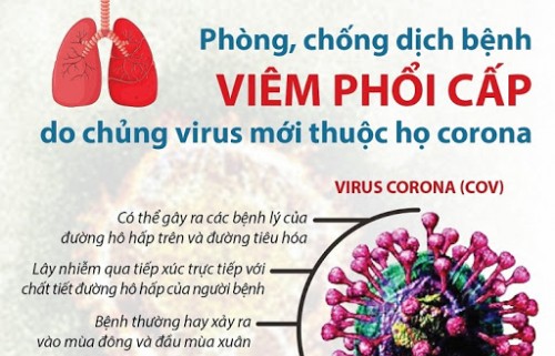 Triển khai Công văn số 815/UBND-VP ngày 06/02/2020 của UBND tỉnh về phòng, chống dịch viêm đường hô hấp cấp do chủng vi rút Corona gây ra