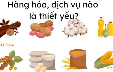 HÀNG HÒA VÀ DỊCH VỤ THIẾT YẾU ĐƯỢC PHÉP KINH DOANH TRONG THỜI GIAN THỰC HIỆN CHỈ THỊ 16 CỦA THỦ TƯỚNG CHÍNH PHỦ