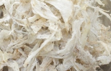 Tổ yến Côn Đảo