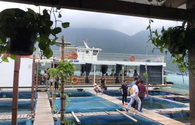 Nhà hàng nổi Côn Đảo - Nơi thưởng thức hải sản tươi ngon, độc đáo