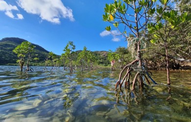 Thổi làn gió "xanh mát" mùa hè bằng những điểm trekking xịn xò tại Côn Đảo