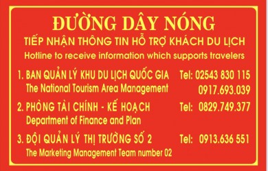 Announce hotline reflecting travel-related issues   