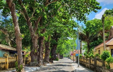 05 reasons extremely convincing you should go to Con Dao
