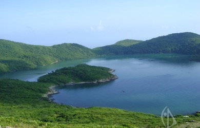 Vinh Dam Tre1