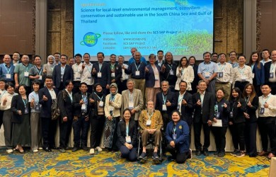 Launch of research proposals on marine turtle conservation