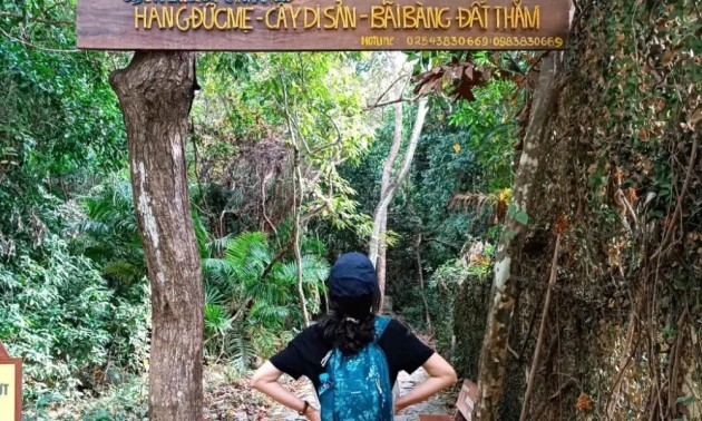 Chinh phục rừng già Côn Đảo, đắm mình trong vẻ đẹp thuần khiết của Đất Thắm