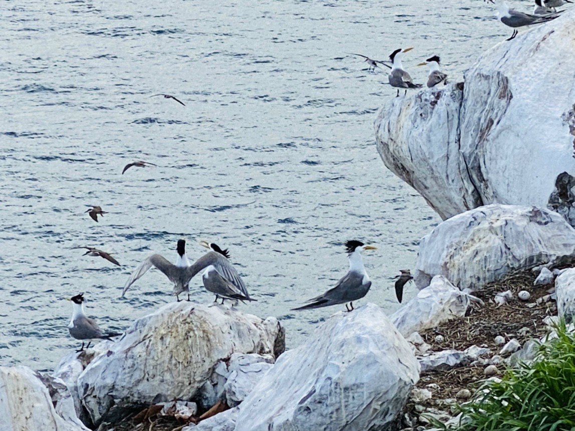 img 20210612 172930