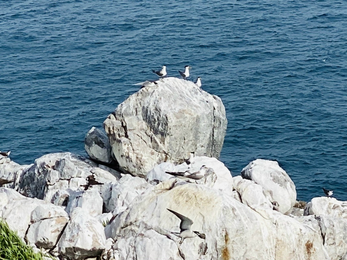 img 20210612 172944
