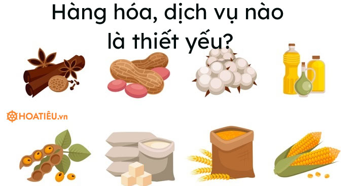 HÀNG HÒA VÀ DỊCH VỤ THIẾT YẾU ĐƯỢC PHÉP KINH DOANH TRONG THỜI GIAN THỰC HIỆN CHỈ THỊ 16 CỦA THỦ TƯỚNG CHÍNH PHỦ