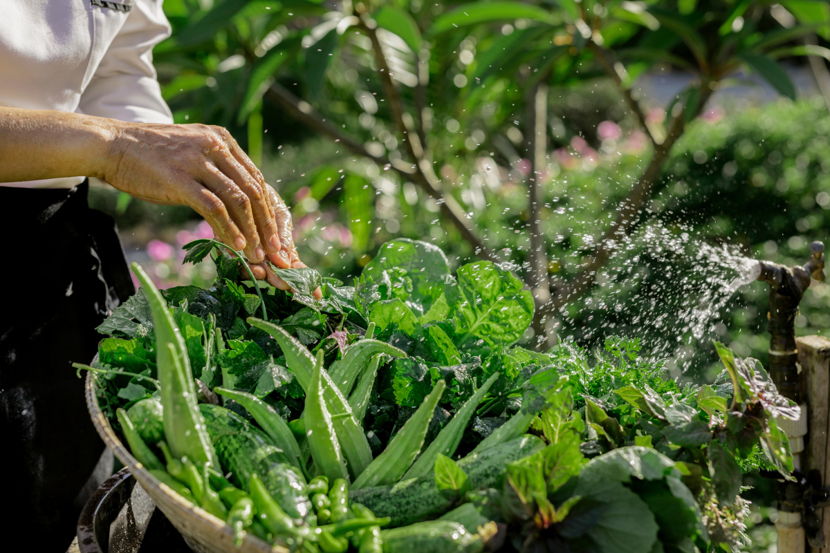 organic garden at six senses con dao 1632900985