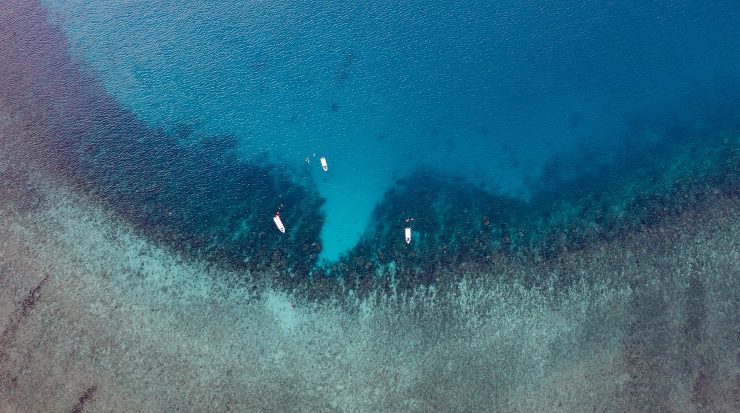 Chiêm ngưỡng cung đường biển đẹp 'có một không hai' tại Côn Đảo