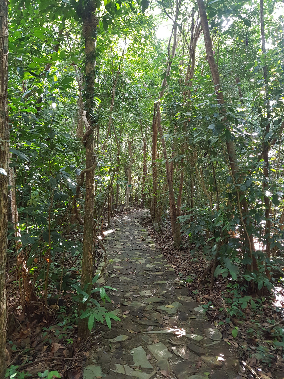 ông đụng