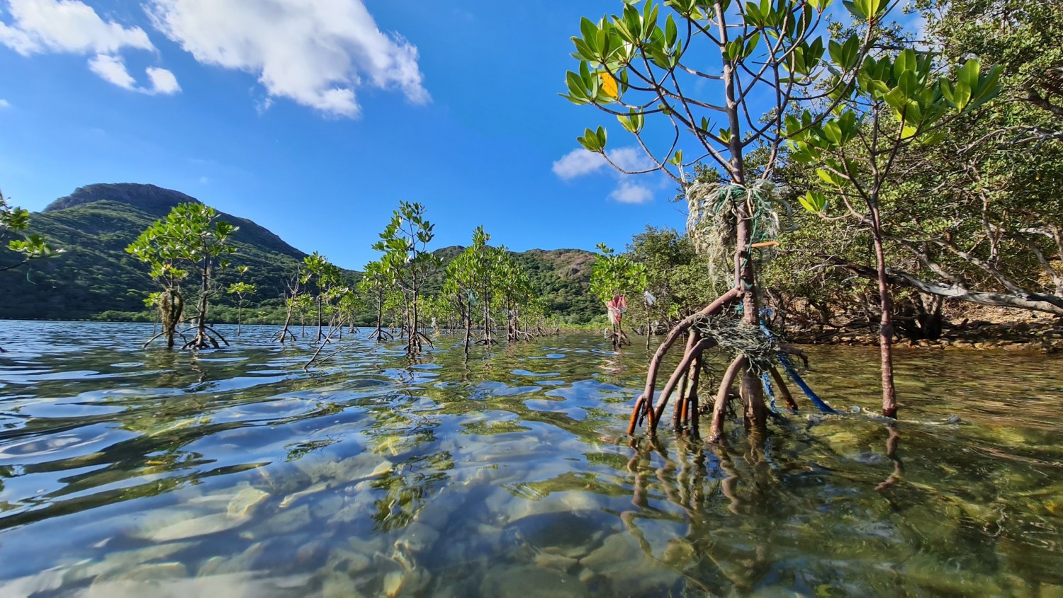 Thổi làn gió "xanh mát" mùa hè bằng những điểm trekking xịn xò tại Côn Đảo