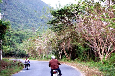 Côn Đảo