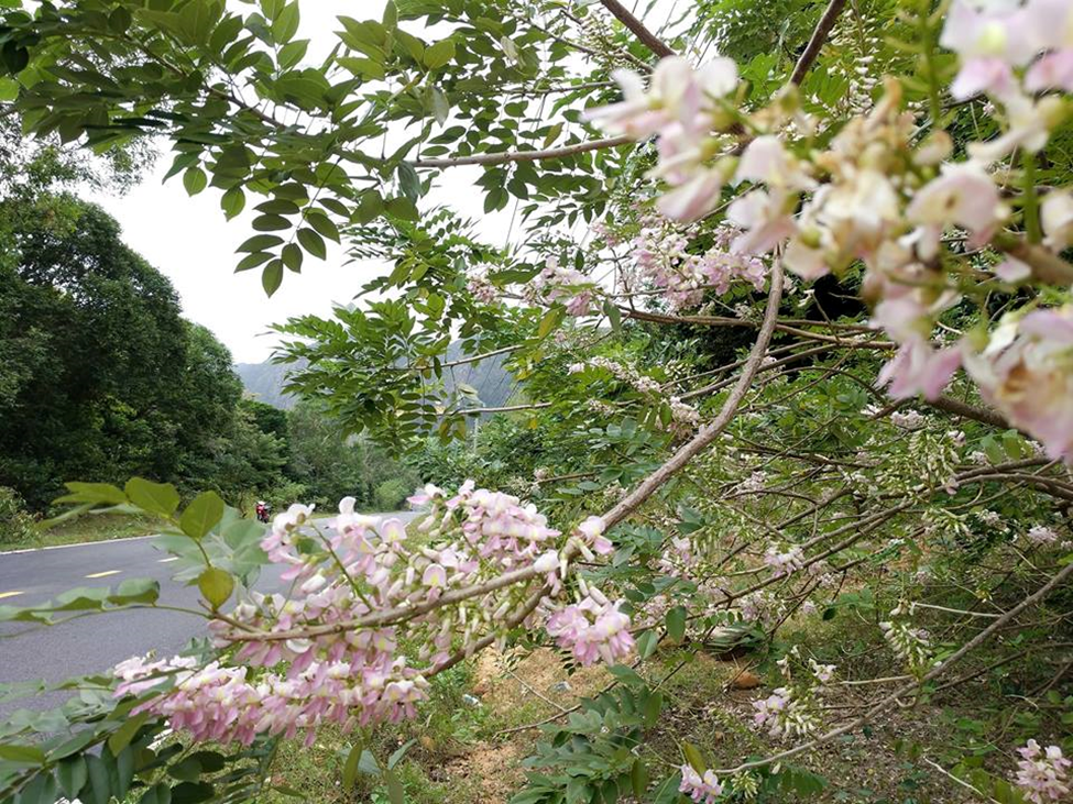 Côn Đảo