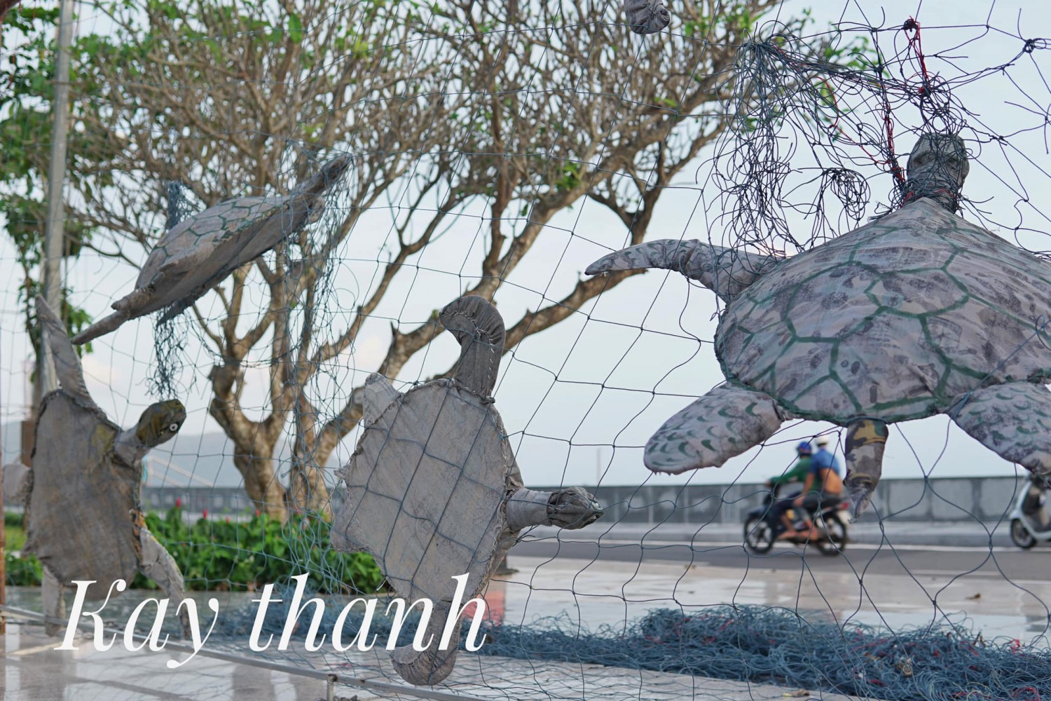 Vì biển đảo xanh