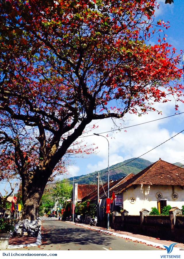 con dao town today
