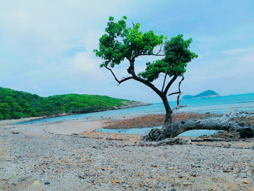 bai dat tham con dao 1024x768