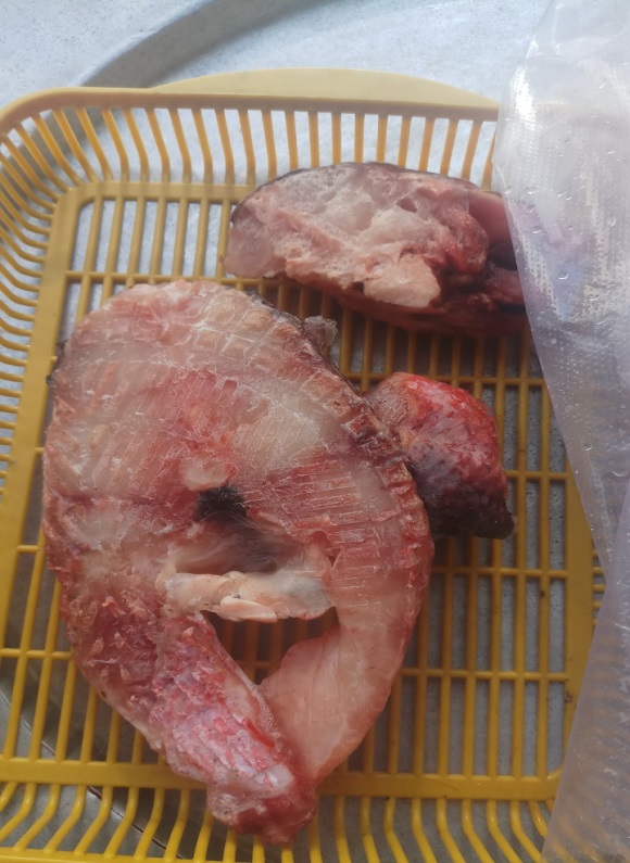 cá hồng