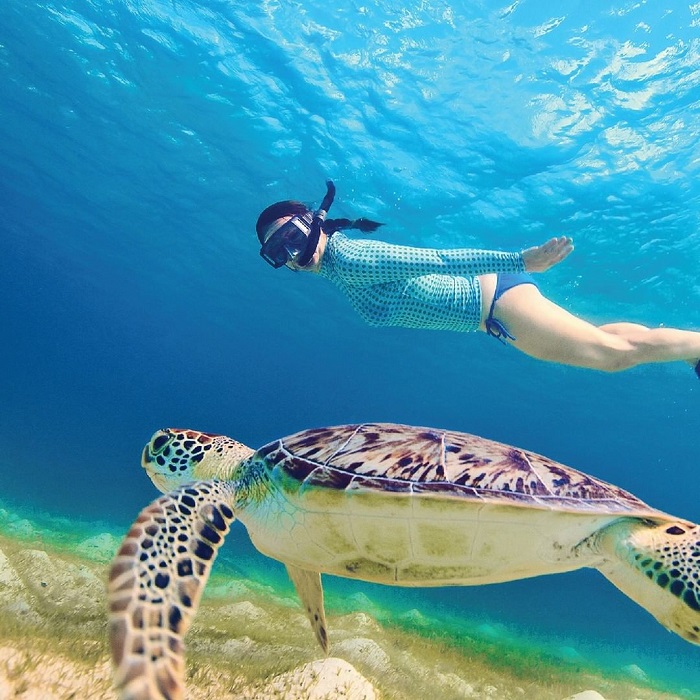 Con Dao snorkeling: What it’s like, where to go and tips for first-timers