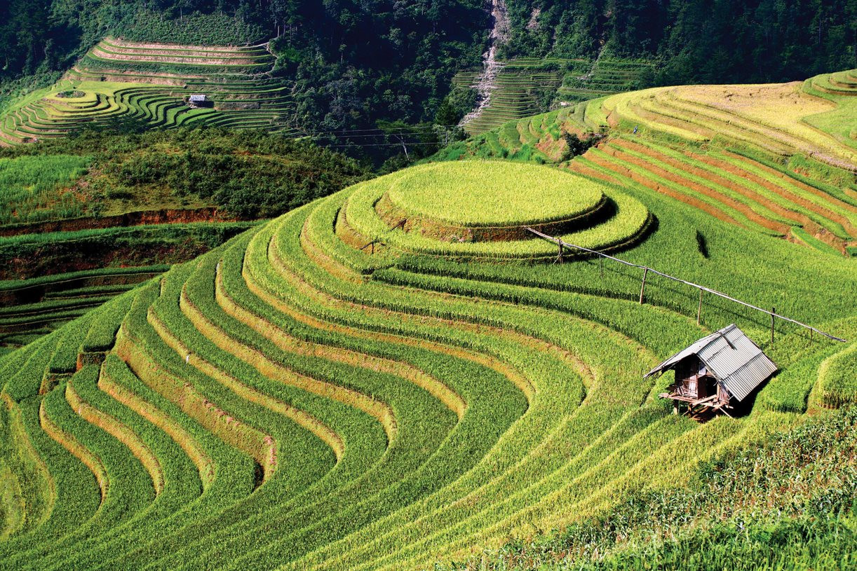 Mù Cang Chải - Yên Bái