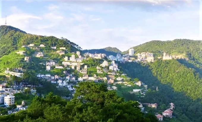 Tam Đảo