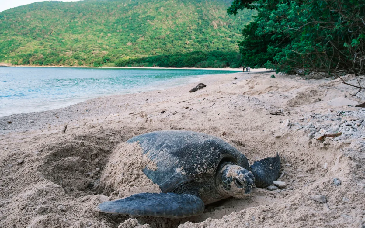 package media 63380876219130302384307 26812442400533863328600