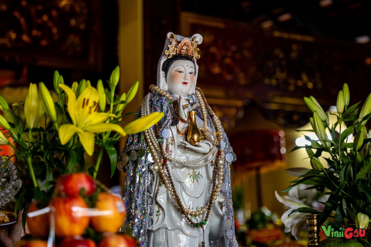 481079787 1202428241251374 7595147969579184982 n