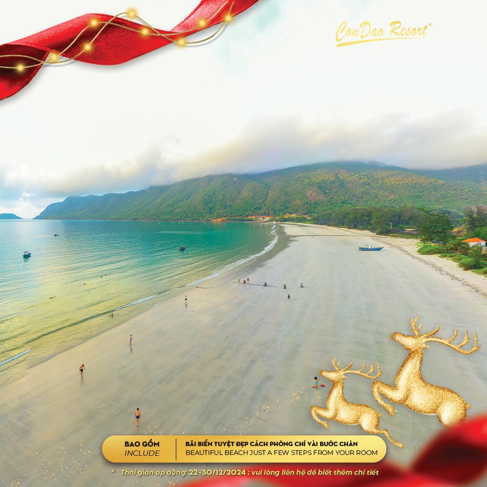 486139090 1057525453067189 358093943447655321 n