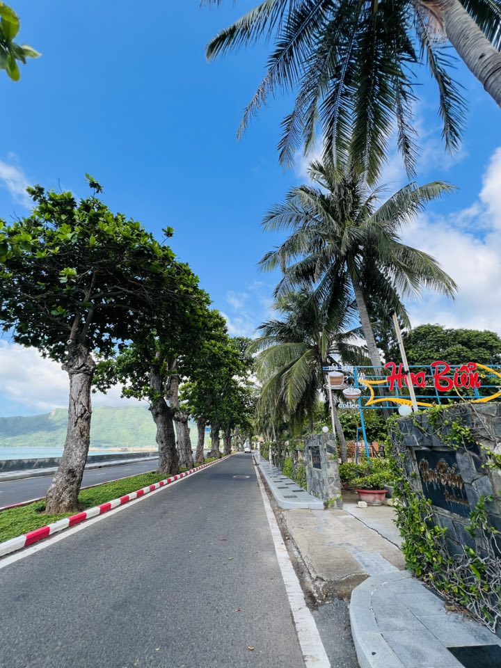 515438742 1423851352265907 4100079908695372720 n