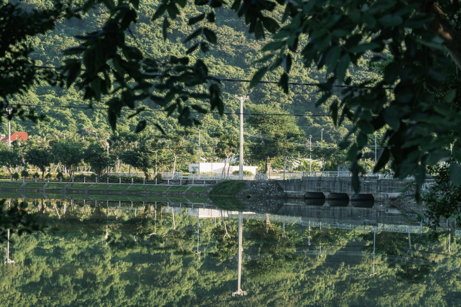 573339359 1264899789011928 1761746715825838109 n