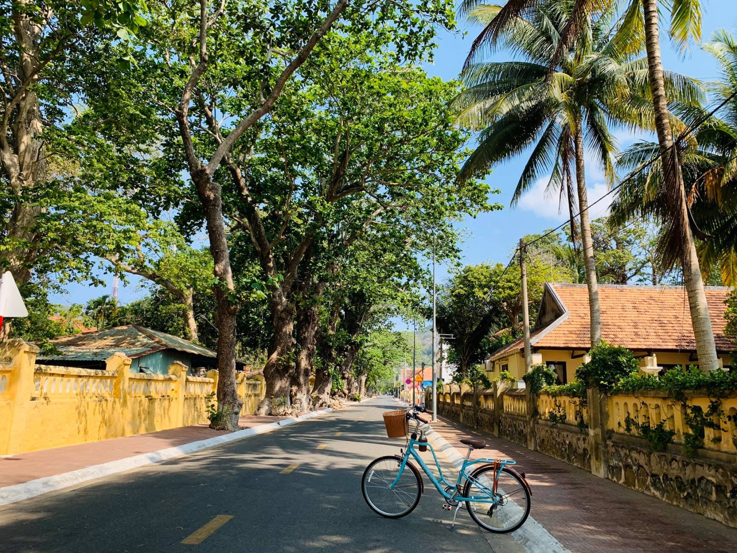 91070147 199214344862384 8928608826467287040 n