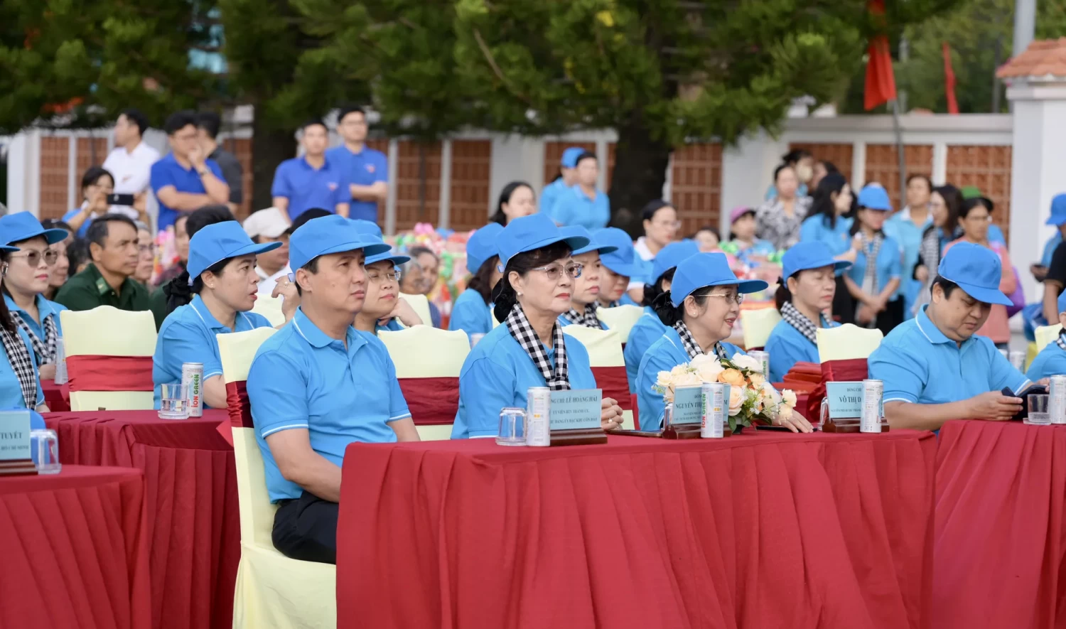 dsc 9330 2130 808 jpeg