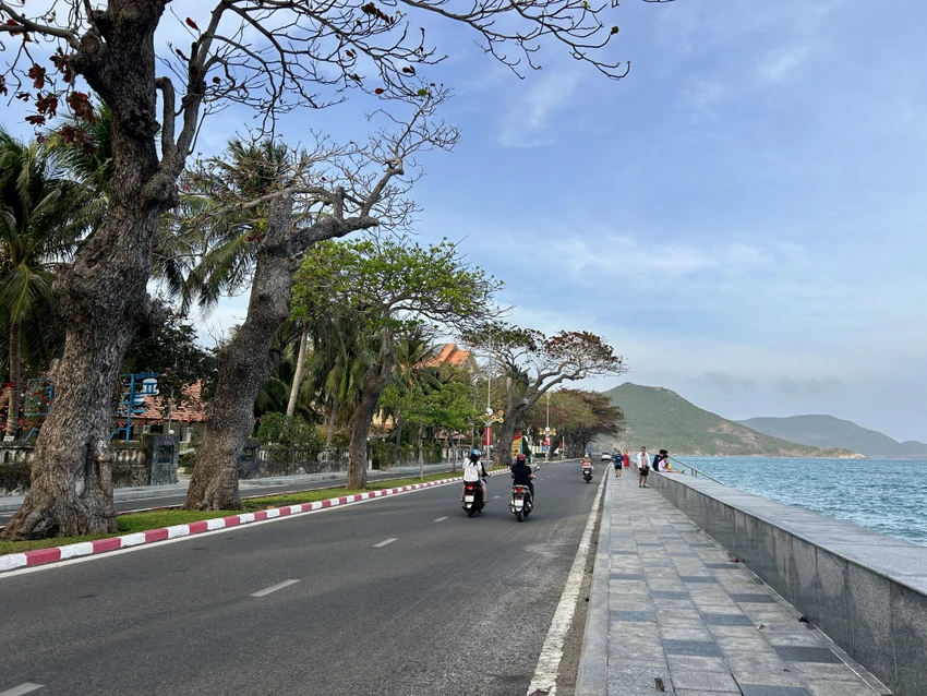 con dao xanh hoa 1 8998 1184 jpg