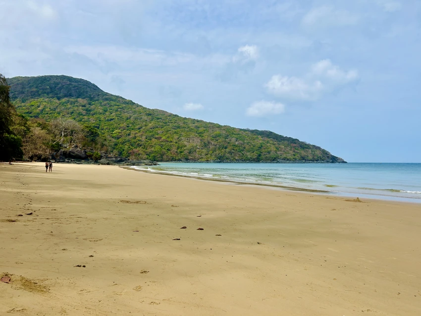 con dao xanh hoa 10 5226 6363 jpg