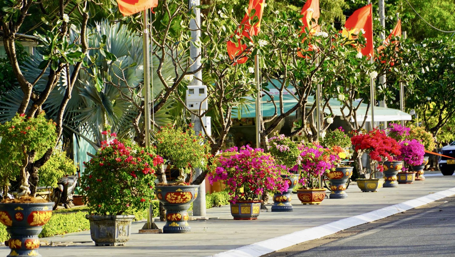 1jfkho37d4rni81 17691550968481273454165