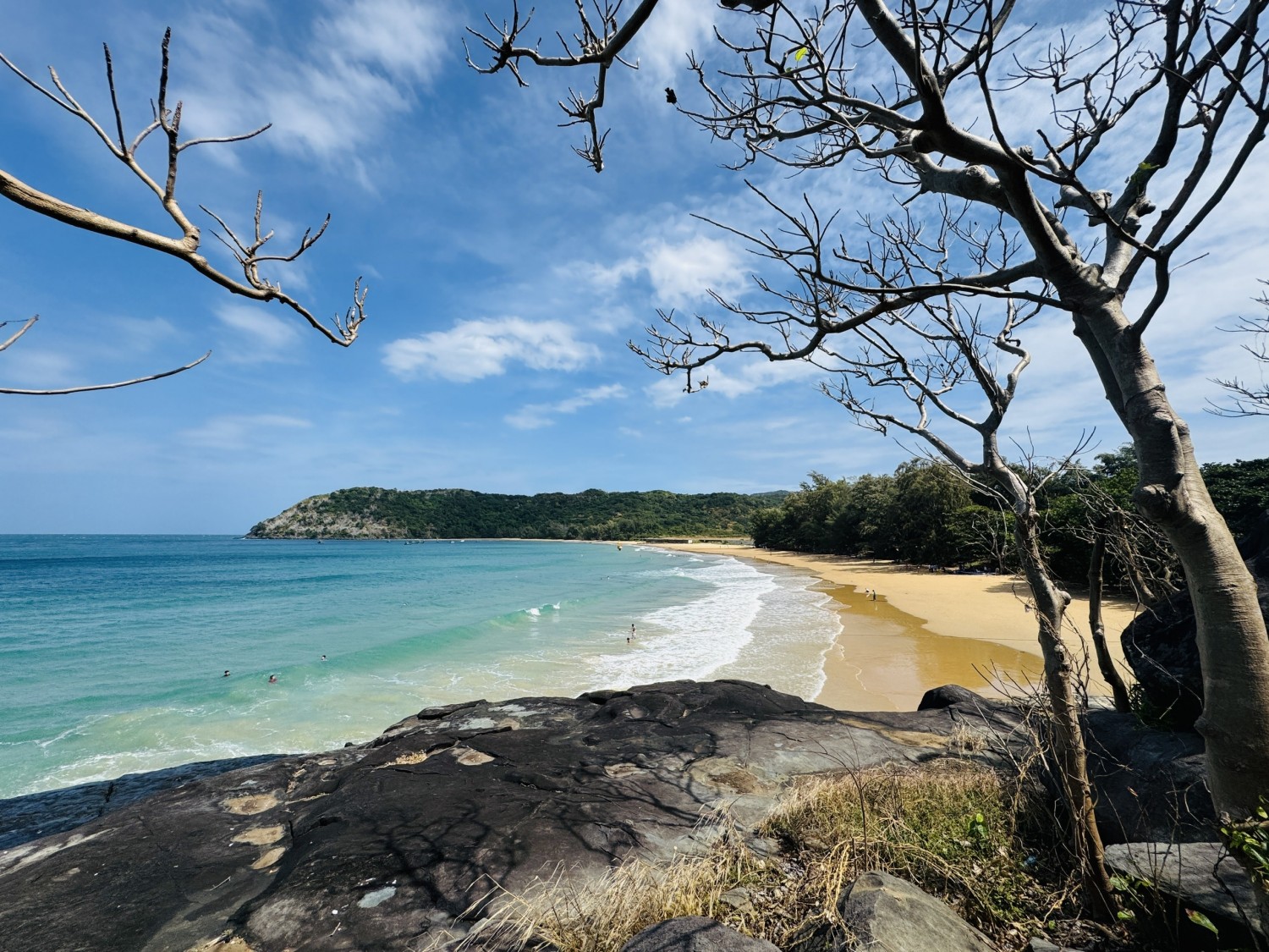 5297ddc647a1c6ff9fb0