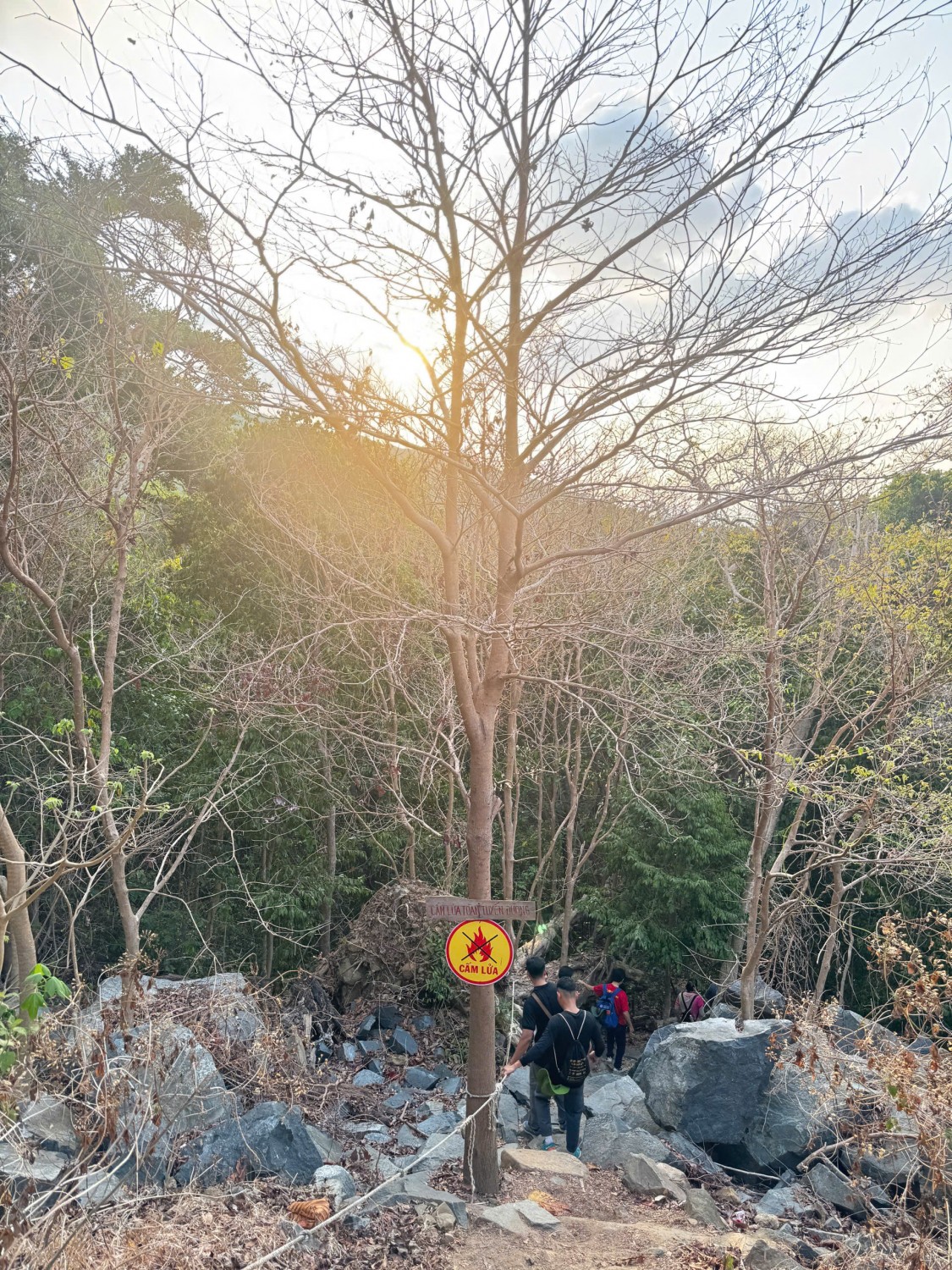 e8489ff3b68937d76e98