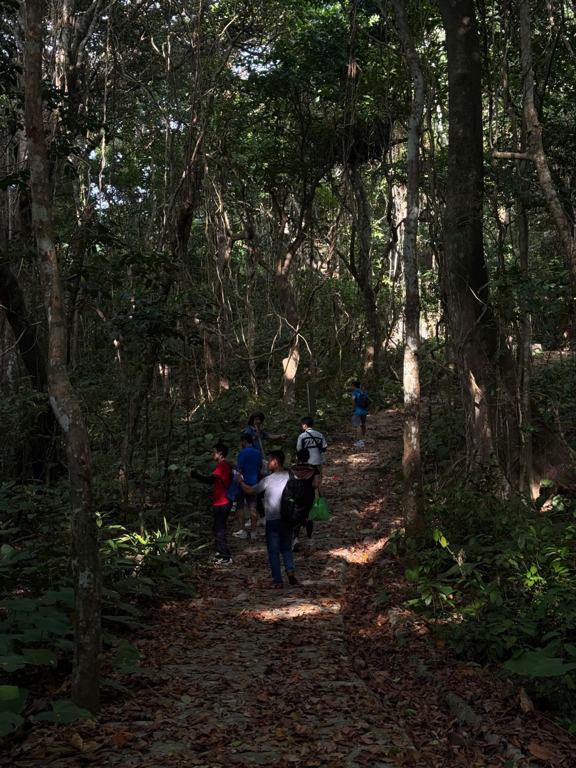 ef19c2b2ebc86a9633d9