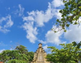 IMG-20190827-074714-1.jpg