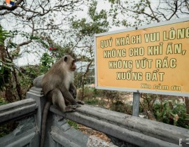 Vân Sơn Tự.jpg