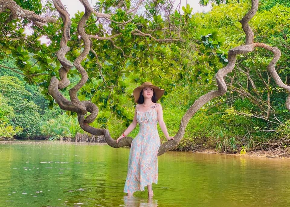 Địa điểm mua sắm