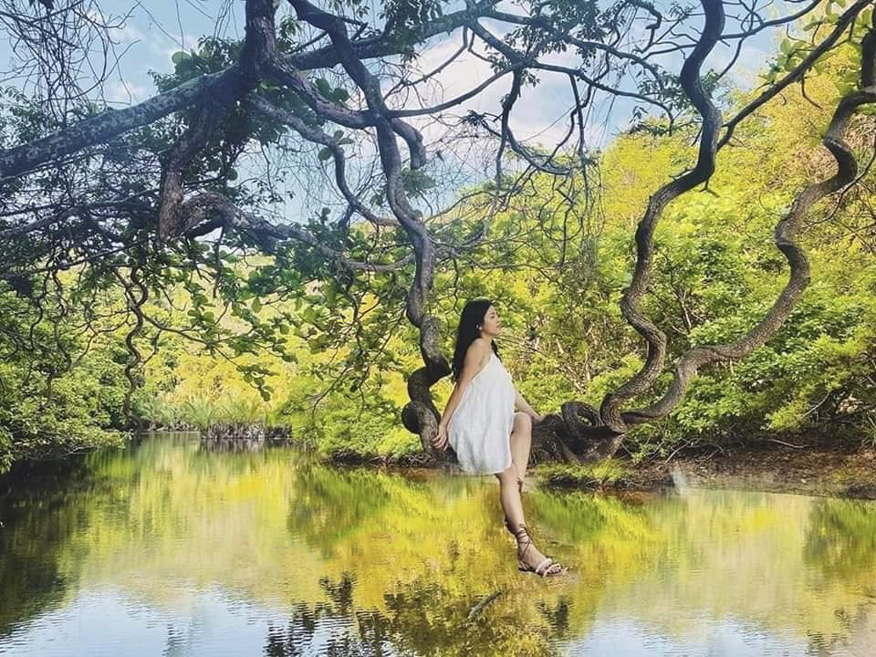 Địa điểm mua sắm