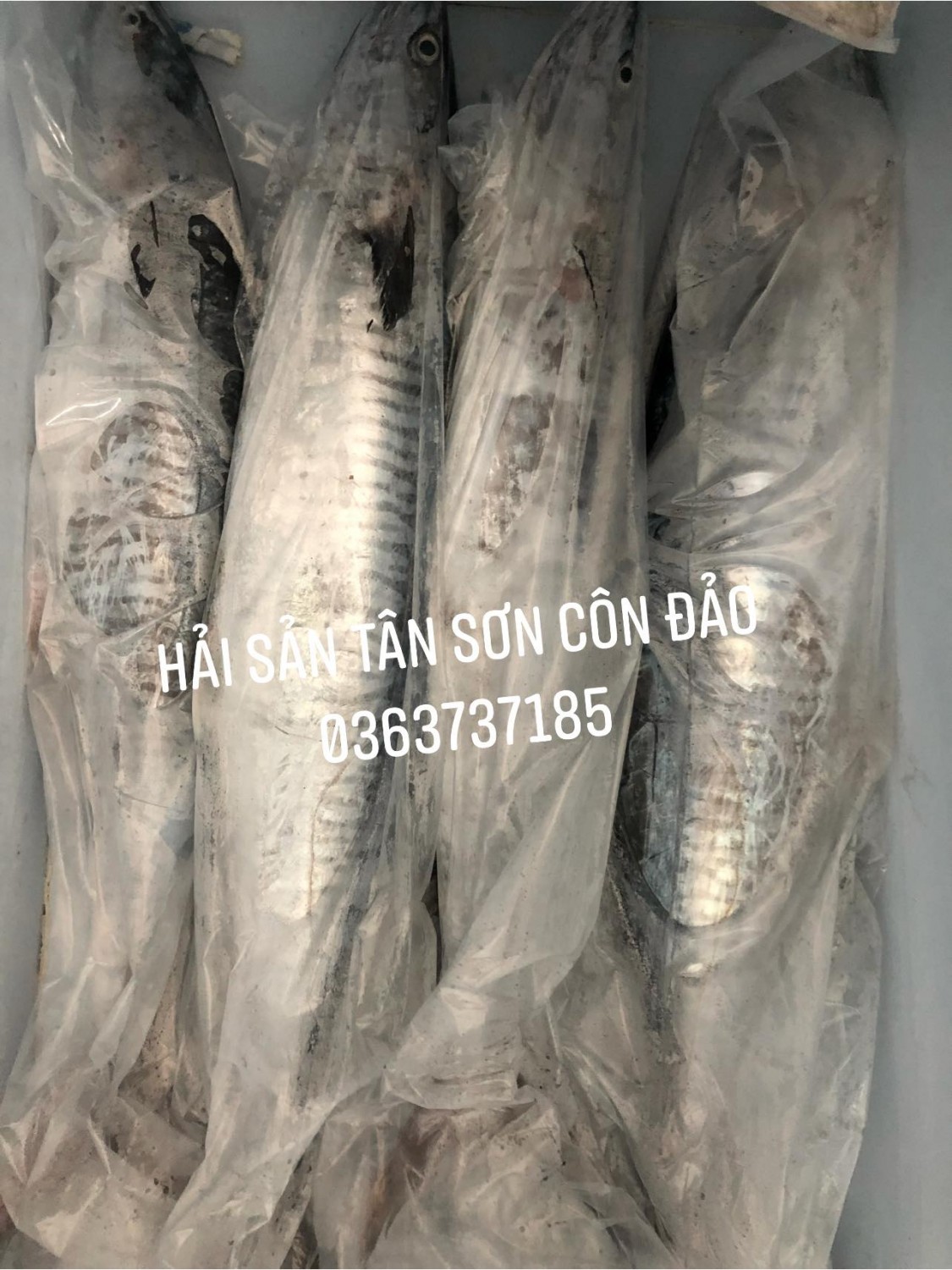 Địa điểm mua sắm