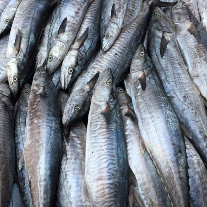 Địa điểm mua sắm